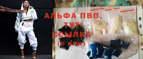 стаф Абаза