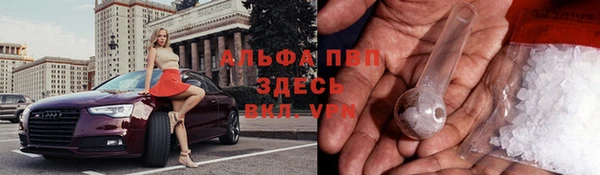 стаф Абаза