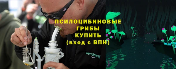 сатива Абинск