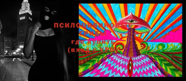 сатива Абинск