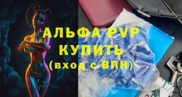 стаф Абаза