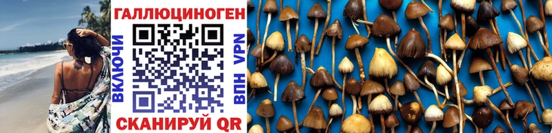 Галлюциногенные грибы Magic Shrooms  сколько стоит  Куртамыш 